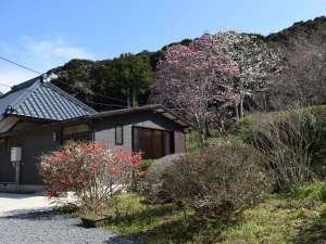 「花の宿よしだ」の部屋外観