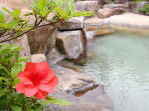 「寛ぎの舎　游（くつろぎのや　ゆう）」の緑に囲まれた源泉かけ流しの開放的な露天風呂をお楽しみください。