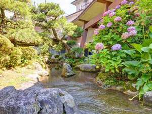 *中庭（日本庭園）/川が流れる日本庭園では四季折々の景色を楽しむことができます。