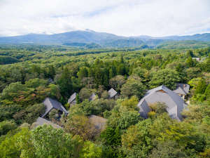 「温泉山荘　だいこんの花」の1万坪の自然林にゆったりと点在する施設 