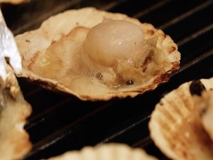 【夕食／イメージ】殻付きホタテは安田発酵バターと新潟醤油とともに炭火焼きでご賞味ください。