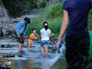 当館の敷地内にある川で遊べます！緩やかな流れの川なのでお子様も安心です。