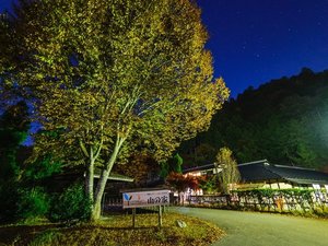 「ひよしフォレストリゾート　山の家」の山の家の外観です。大自然と共存する静かな当館は、心癒され落ち着きます。