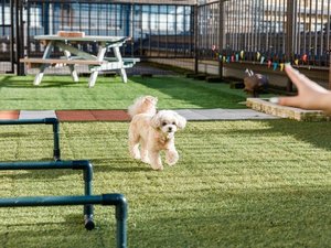 愛犬と過ごす本格旅館 月香