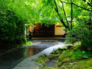 「黒川温泉　山あいの宿　山みず木」の【玄関】新緑の季節