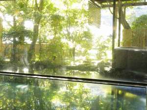 緑樹に包まれた大浴場。明治の文豪にも愛された湯河原の名湯をこころゆくまでお楽しみください。