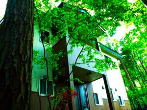 「ペンション軽井沢ゼフィルス八番館」の緑の風に包まれる旅の宿。小鳥の優しい歌声で素敵な目覚めを！