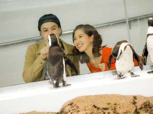 京都水族館　ペンギンと戯れる二人
