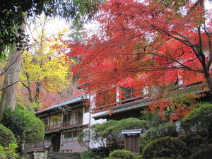 「松琴館」の[外観の紅葉]館前の紅葉が鮮やかです。