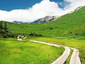 栂池自然園