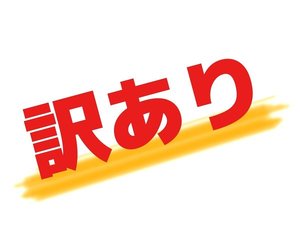 訳ありプラン(詳細本文ご確認下さい)