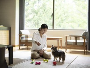 愛犬と過ごせるドッグフレンドリールーム