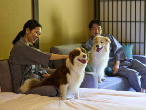 1室につき小型犬・中型犬2頭まで滞在可能