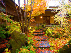 「たてしな藍」の～アプローチ　秋～　赤や黄に染まった落葉の絨毯が玄関へと誘います。