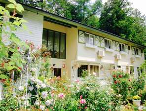 「富士山　健康開運　猫と犬の宿　ペンションブルーポピー」のぶるーポピー の庭はバラやハーブ、草花でいっぱいです。
