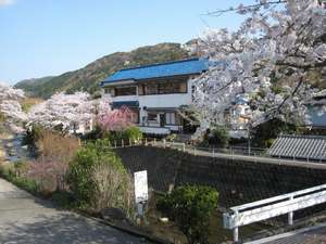 「横川温泉　千代田屋旅館」の桜の季節の当館