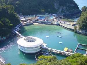 下田海中水族館の割引券もあり（車で約20分）