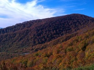 *「秋の鍋倉山」/県内有数の紅葉スポットである鍋倉山！真っ赤に燃ゆる紅葉は圧巻です！