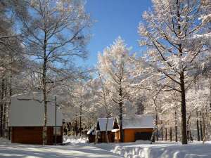 「斑尾高原どんぐり村」の冬のどんぐり村。雪にすっぽりと包まれて、静寂の時が流れます。