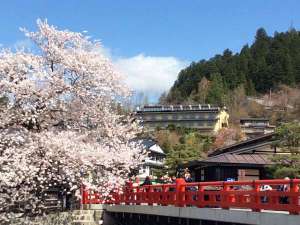 「宝生閣（ほうしょうかく）」の中橋から桜越しに見る当館（中央）桜の開花は例年4月中旬頃です