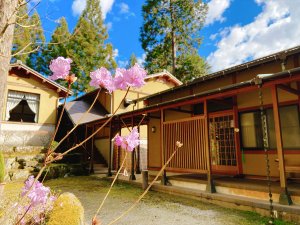 「オーベルジュ楓乃木」の季節の花々が咲き誇る