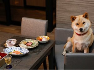 「Ｖｉｌｌａお伽噺」の全席ペット（愛犬）同伴可のレストランで楽しむ創作和食会席イメージ