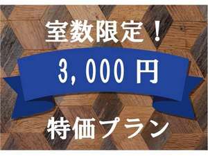 3000円プラン