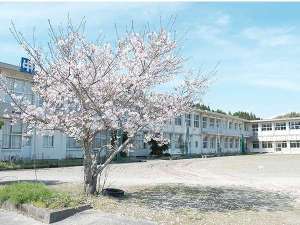 「高江未来学校」の２０２０年４月オープン