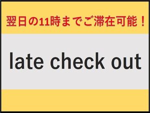 素泊まり　11時チェックアウト　◆TV・客室クロス・カーペットリニューアル完了！