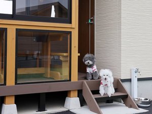 *専用ドッグラン付きコテージ♪わんちゃんも室内で放し飼いOKです（おむつ必須）