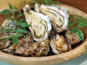 【大一粒かき小町】夏でも食べられる！広島のブランド牡蠣。4～11月にプランを設定。