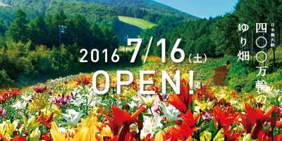 ハンターマウンテンゆりパークがオープンします 日本四大美人の湯 源美の宿 会津屋のブログ 宿泊予約は じゃらん