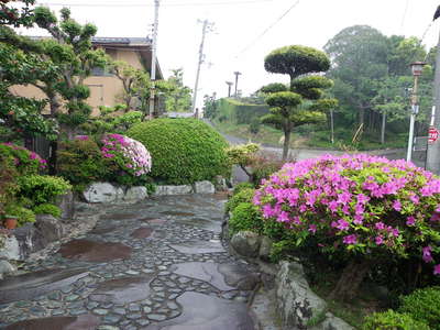 淡輪遊園 花便り 夕日の宿 龍宮館のブログ 宿泊予約は じゃらん