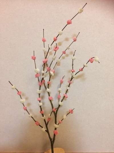 先着100名 しだれ柳 の枝を使用した花餅飾りづくり 下呂温泉 アートな館 紗々羅 ささら のブログ 宿泊予約は じゃらん