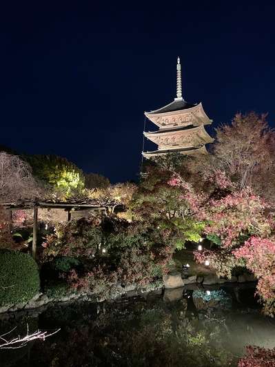 東寺ライトアップ ｊｒ西日本グループ ヴィアイン京都駅八条口のブログ 宿泊予約は じゃらん