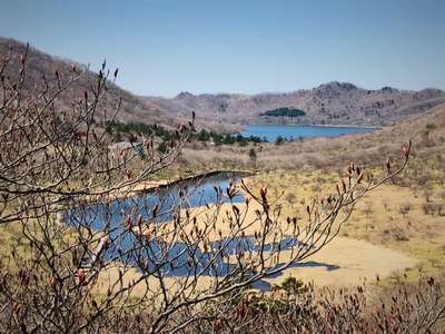 山笑う 瞬間 春の赤城山 芽吹きとツツジの季節 赤城温泉 花の宿 湯之沢館のブログ 宿泊予約は じゃらん