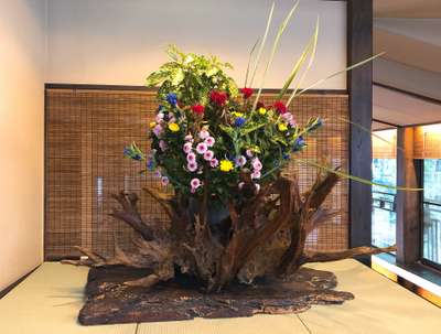 玄関花の大きな鉢 伊豆修善寺温泉 湯回廊 菊屋のお知らせ 宿泊予約は じゃらん
