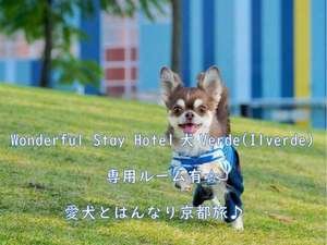 愛犬と一緒に泊まろう 犬 いぬヴェルデ京都 ホテルイルヴェルデ京都のブログ 宿泊予約は じゃらん