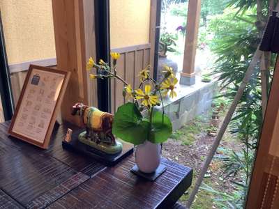 つわぶきの花 そのぎ茶温泉里山の湯宿 つわぶきの花のブログ 宿泊予約は じゃらん