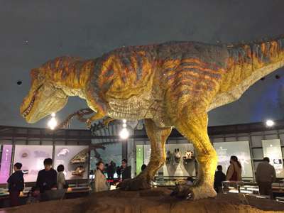 福井県立恐竜博物館 星野リゾート 界 加賀のブログ 宿泊予約は じゃらん