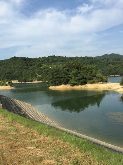 淡路島 バス 釣り ポイント