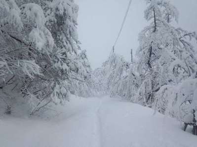 何とも重い雪 覆い被さる桜の雪 彩花亭時代屋のブログ 宿泊予約は じゃらん