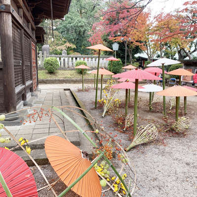 和傘紅葉 喜多院で和傘の無料レンタル 川越第一ホテルのブログ 宿泊予約は じゃらん