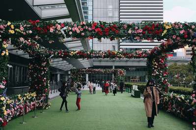 名古屋 駅 花屋 坪井花苑 名古屋市中区の老舗花屋 Stg Origin Aegpresents Com