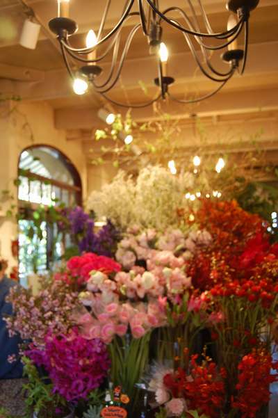 香川の素敵な花屋さん アパホテル 丸亀駅前大通 のブログ 宿泊予約は じゃらん