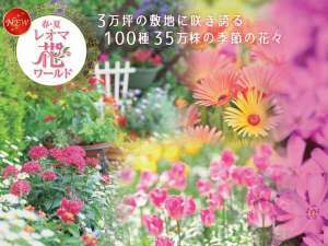 3月21日からレオマに花ワールドが登場 大江戸温泉物語 ホテルレオマの森のブログ 宿泊予約は じゃらん