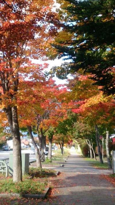 紅葉 リリホテル 新ハワイ料理 カパルア軽井沢のブログ 宿泊予約は じゃらん