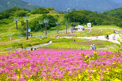 天空の花畑 白馬五竜高山植物園 北アルプス一望 ホテル白馬のブログ 宿泊予約は じゃらん