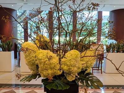 ロビーの生花 初夏から秋に咲く紫陽花ライムライト 中之島プラザのブログ 宿泊予約は じゃらん