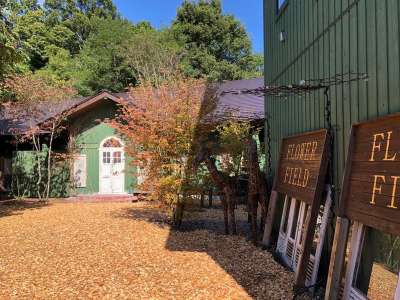 お花屋さんのカフェ ホテルハーヴェスト軽井沢のブログ 宿泊予約は じゃらん